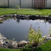 Duck pool