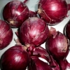 Crveni (ljubičasti) luk: sorte i opisi, fotografije, imena za moskovsku regiju