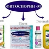 Obrada tla u stakleniku s fitosporinom u proljeće: prije sadnje, od bolesti, od štetočina