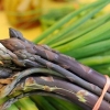 Špargla - uzgoj i njega na otvorenom polju