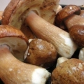 Bijele kisele gljive: recepti za zimu sa fotografijama