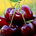 Slatka trešnja