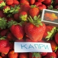 Jagoda kapri
