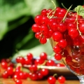 Crvena ribizla za zimu: jednostavni recepti kod kuće