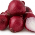 Setovi crvenog luka carmen: opis i karakteristike sorte, recenzije