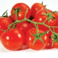 Najbolje sorte paradajza za otvoreno tlo