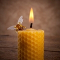 Pčelinji vosak za svijeće