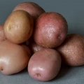 Detaljan opis i karakteristike romano krompira