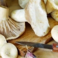 Salate od gljiva za zimu: recepti za kuhanje sa fotografijama