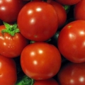 Astrakhan paradajz