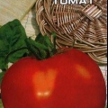 Paradajz nikola: recenzije + fotografije