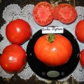Paradajz vova putin: recenzije i karakteristike sorte