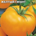 Žuti džinovski paradajz: opis