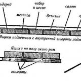 10 Krupnoplodnih paradajza za plastenike od polikarbonata i otvorenog tla