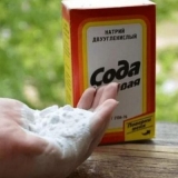 10 Načina da koristite sodu bikarbonu u bašti