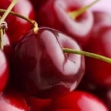 16 Samooplodnih sorti trešanja