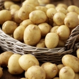 20 Najboljih ranih i ranih sorti krompira