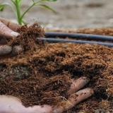 5 Vrste organskih đubriva, njihove karakteristike