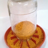 9 Uradi sam hranilica za piliće od improviziranih materijala