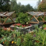 Agrotehnički plan za uzgoj vrta