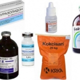 Antibiotici širokog spektra za koke nosilje - doziranje