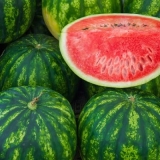 Lubenica je bobičasto voće, povrće ili voće