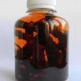 Badan debelolisni: ljekovita svojstva i kontraindikacije za žene, za muškarce