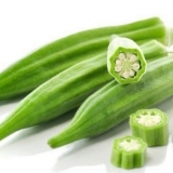 Bamija - uzgoj iz sjemena