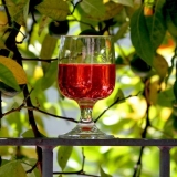 Barberry wine