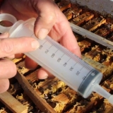 Bipin za pčele: upute za upotrebu