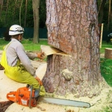 Clash of the titans: motorna ili električna pila. Sta je bolje?