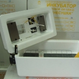 Kućni inkubator kokoš nesilica: upute i sorte