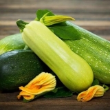 Koja je razlika između tikvica i tikvica?