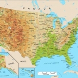 Crno-bijela holštajnizirana rasa krava - karakteristika holštajna