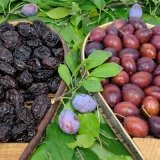 Koja je razlika između suvih šljiva i šljiva