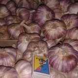 Lyubasha bijeli luk: opis sorte + recenzije