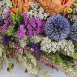 Biserno cvijeće anafalis: sadnja i njega, opis, fotografija u pejza...