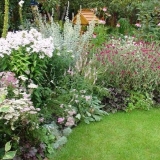 Višegodišnje cvijeće za vikendice