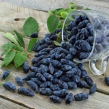 Domaće vino od orlovih noktiju: jednostavni recepti