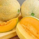 Melon goldie f1
