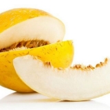 Kolektivni farmer dinje - uzgoj na otvorenom polju