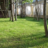 Trava za travnjak: koja je bolja za sjetvu na selu