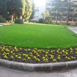 Trava za travnjak: sjeme, opis