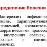 Hemoragijska septikemija ili pastereloza kod kunića - simptomi i liječenje