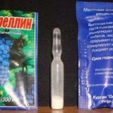 Giberelin za grožđe