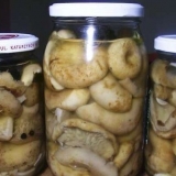 Mliječne gljive za zimu pod željeznim poklopcem: koje koristiti, recepti za zimu