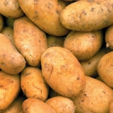 Karakteristike i opis sorte krompira breeze