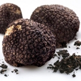 Skladištenje tartufa: uslovi čuvanja gljiva