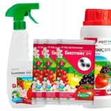 Biotlin insekticid: upute za uporabu od bijelih mušica, lisnih uši i drugih štetočina