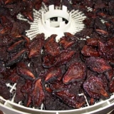 Od kojih se sorti šljiva prave i kako se prave suve šljive?